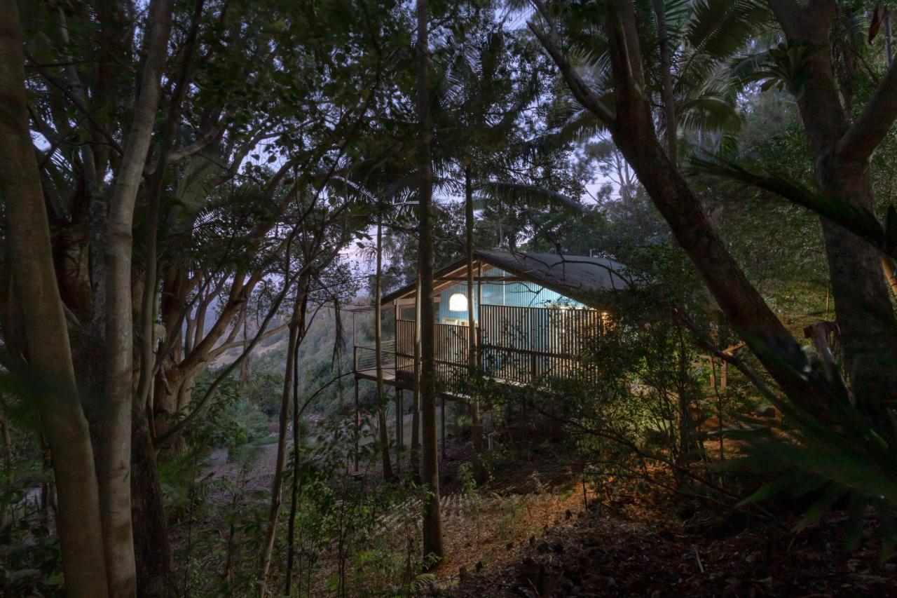 Treetops Seaview Монтвіль Екстер'єр фото